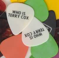 Guitar picks