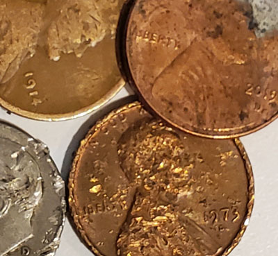 Damaged but collectible Lincoln cents