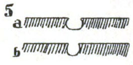 Cross section of etched lines