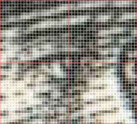 Native pixels of Mercury vignette scanned at 600 dpi